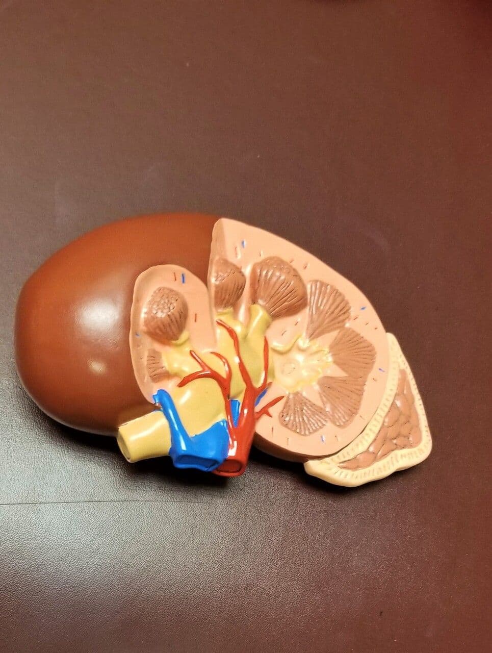 signs of liver damage