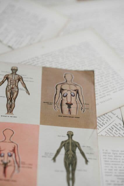 exercise and the body