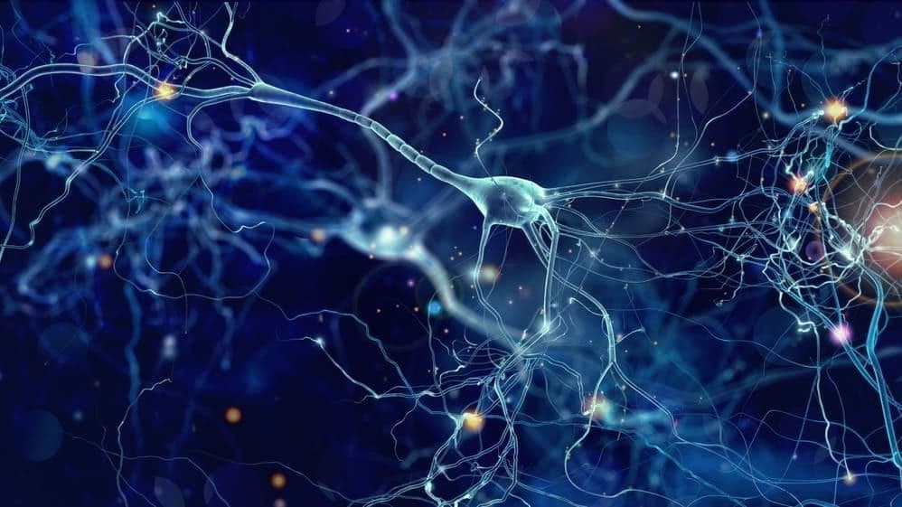 neurofeedback therapy