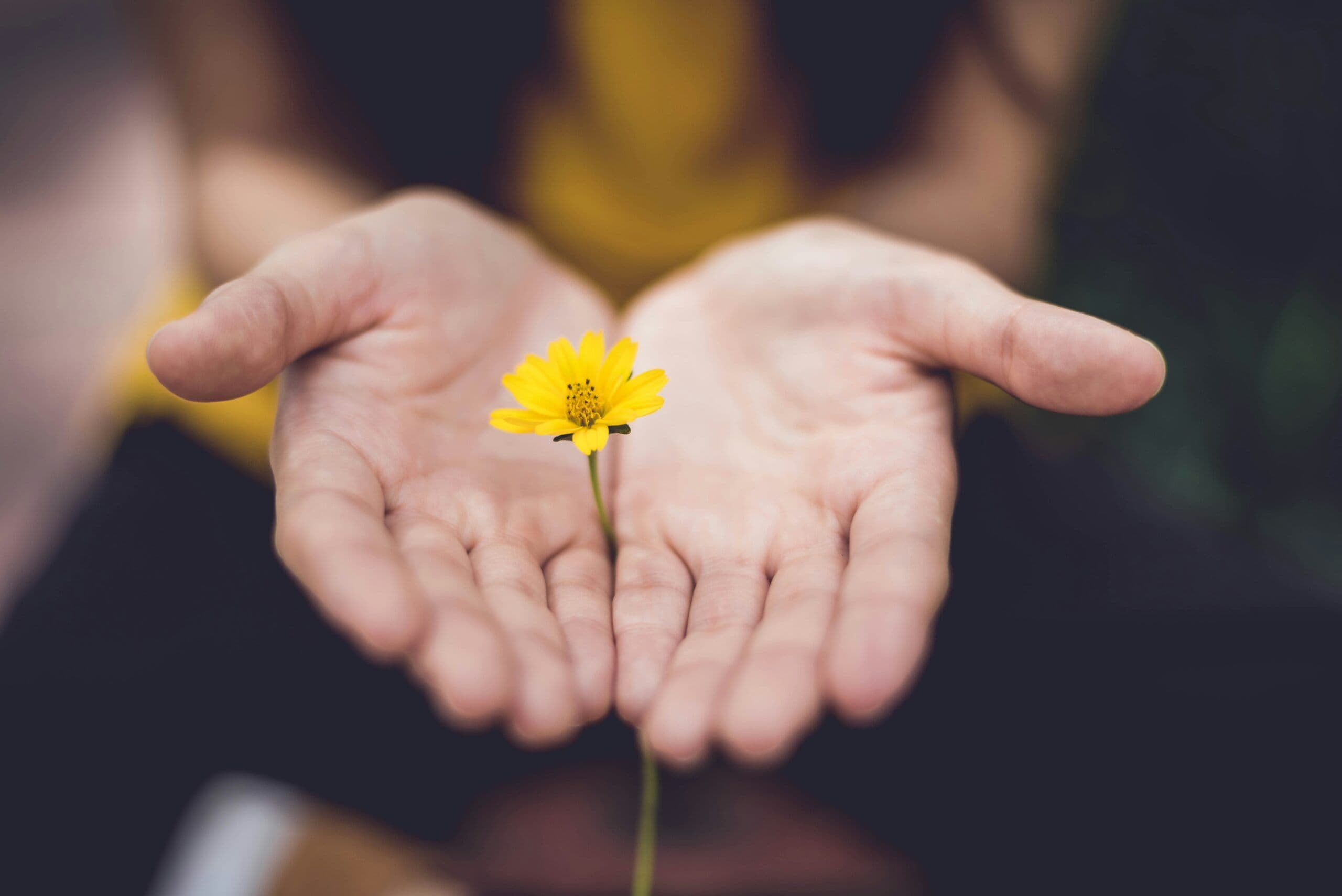 Solution Focused Therapy Techniques