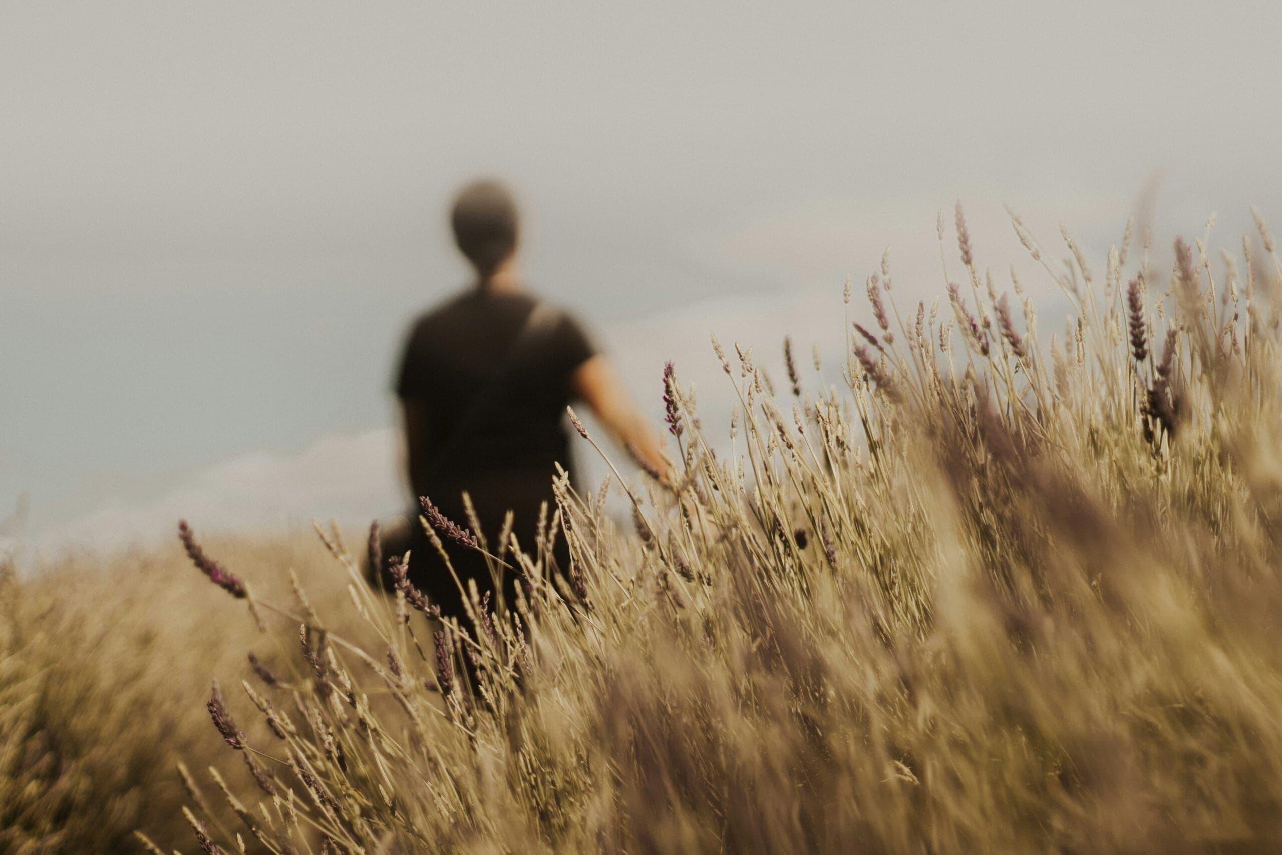 Understanding the 7 Stages of Grief