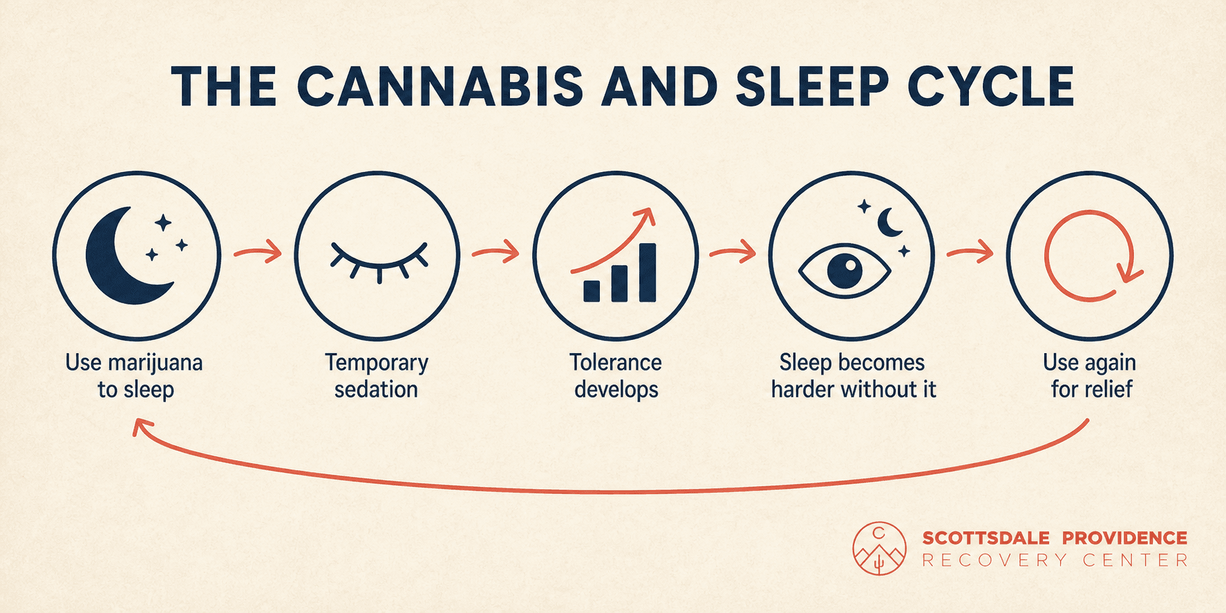 what-happens-when-you-sleep
